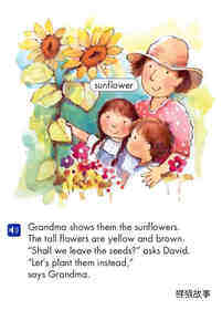 The Sunflower Questions绘本故事第5页