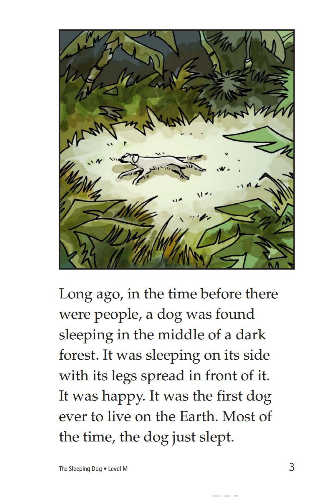 The Sleeping Dog绘本故事第3页