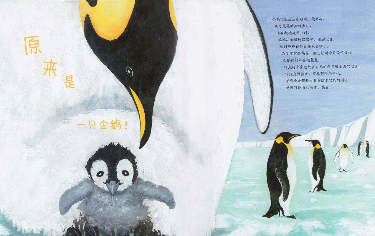 动物成长故事绘本：猜猜蛋里住着谁绘本故事第3页