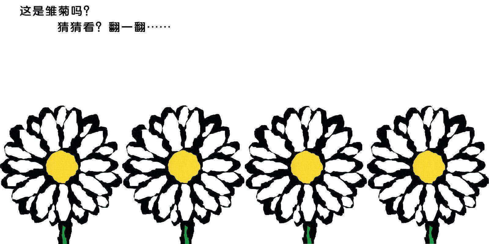 猜猜看，是花吗？绘本故事第4页