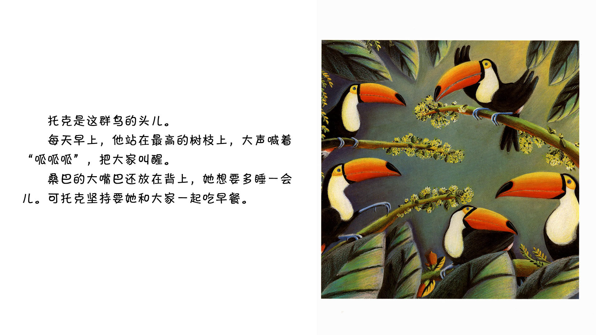 巨嘴鸟绘本故事第4页