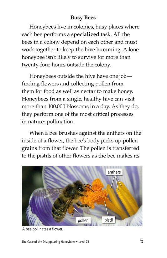 The Case of the Disappearing Honeybees绘本故事第4页