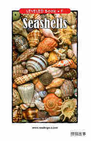 Seashells