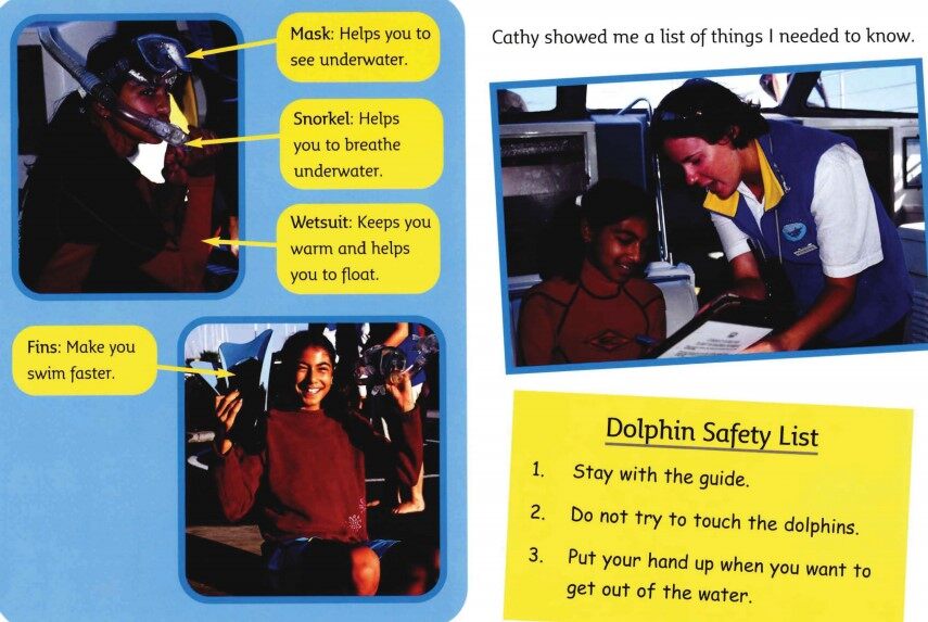 Swimming with Dolphins绘本故事第4页