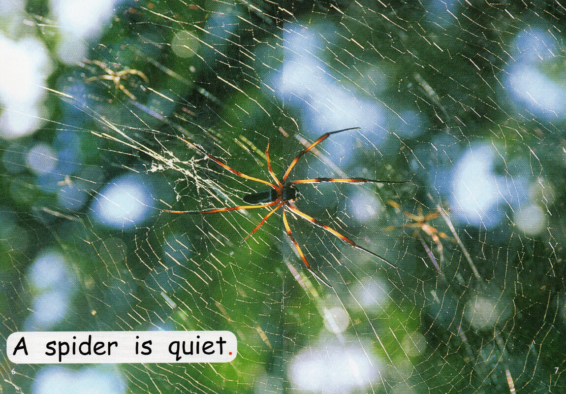 what is quiet？绘本故事第5页