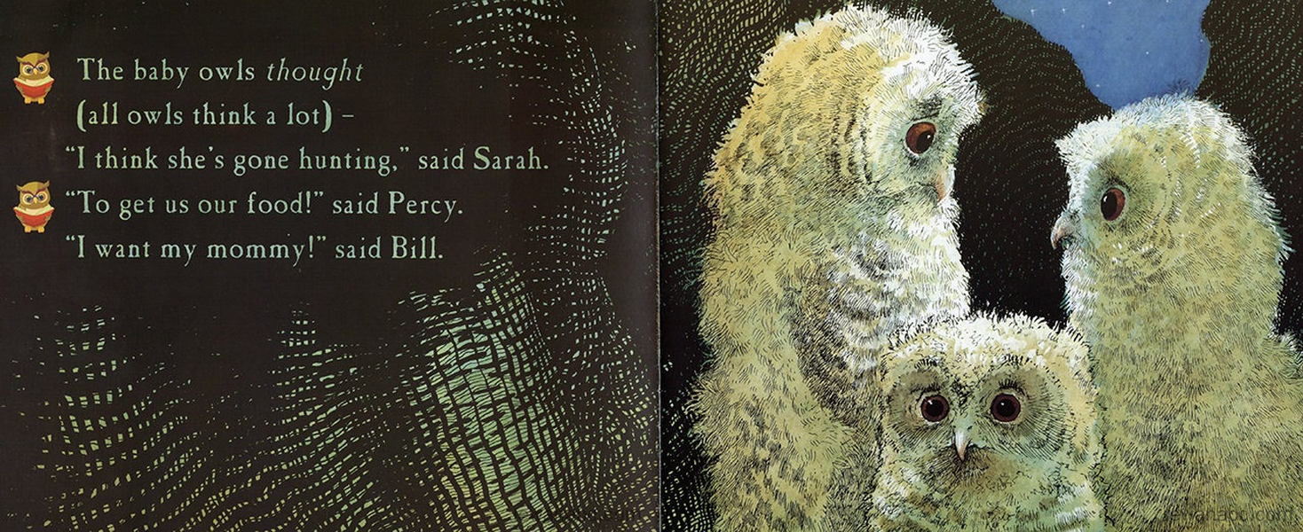 (43周)Owl Babies 绘本故事第5页