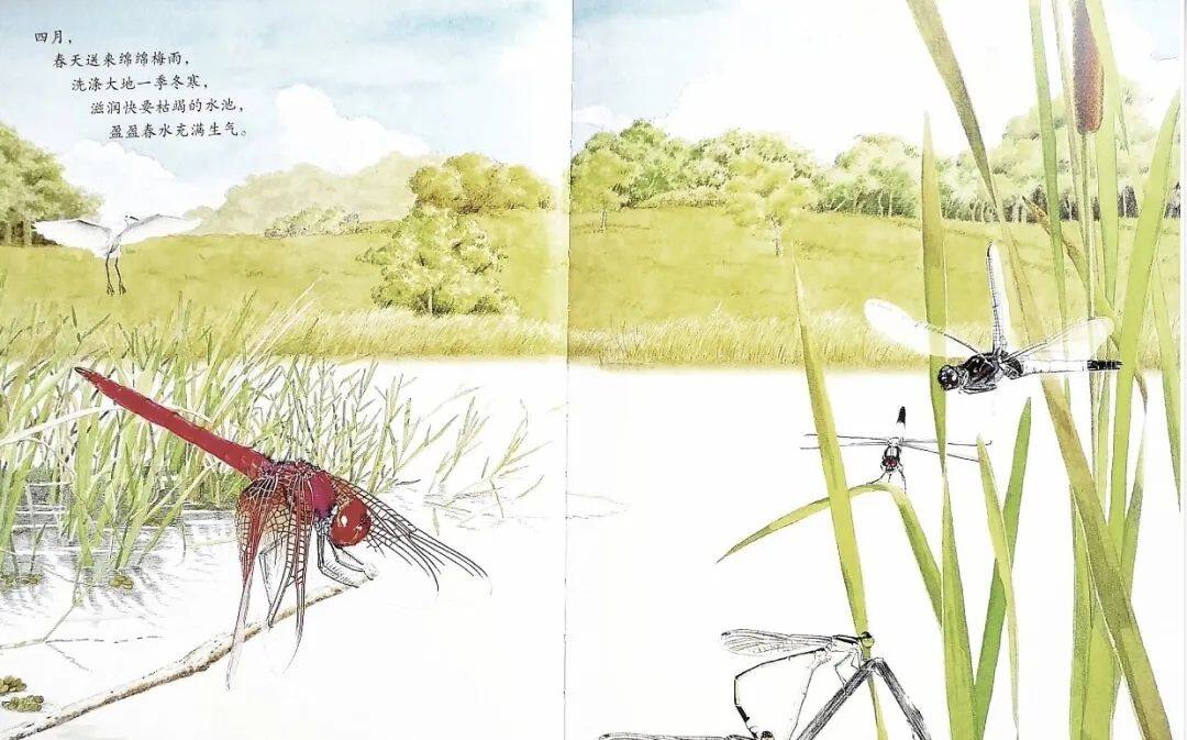 池上池下绘本故事第2页