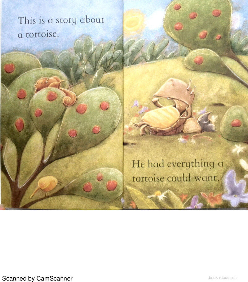 The Tortoise and the Eagle绘本故事第3页