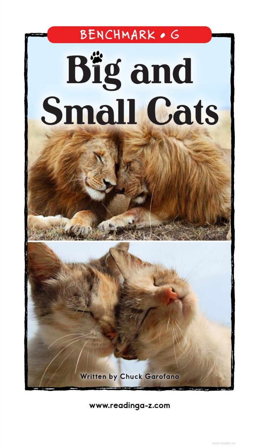 Big and Small Cats绘本故事第2页