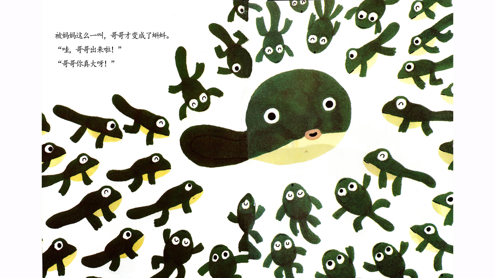   999个青蛙兄弟绘本故事第5页