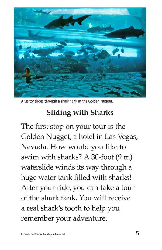 Incredible Places to Stay绘本故事第4页