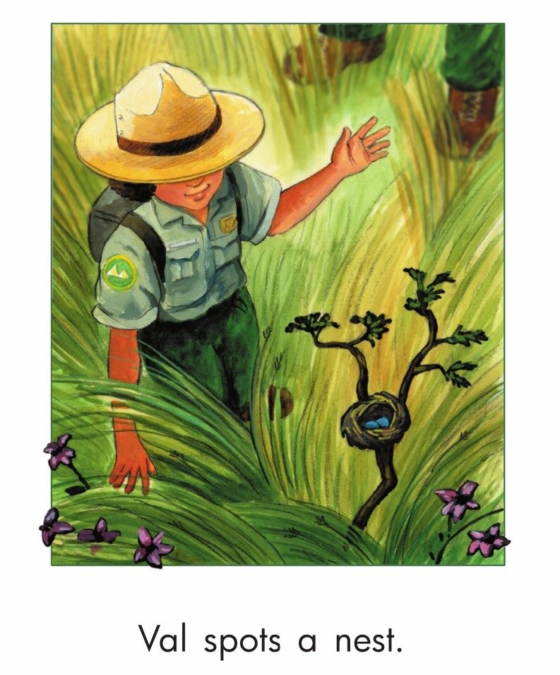 Looking for Animals绘本故事第5页