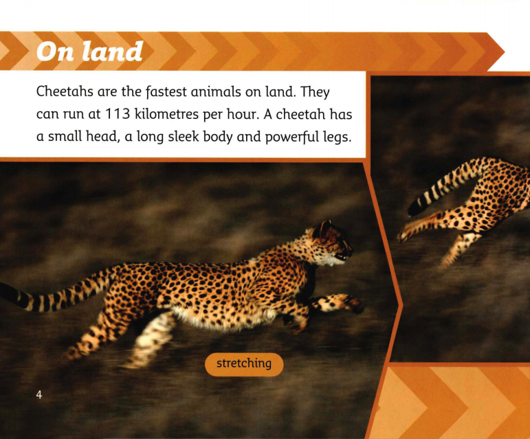 Going Fast绘本故事第4页