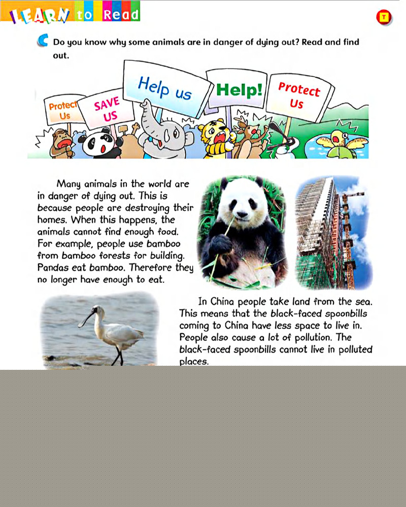 6 Help save the animals绘本故事第5页