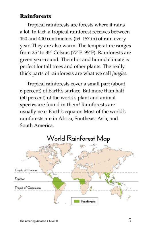 The Amazing Amazon绘本故事第4页