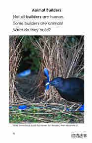 What Built This绘本故事第3页