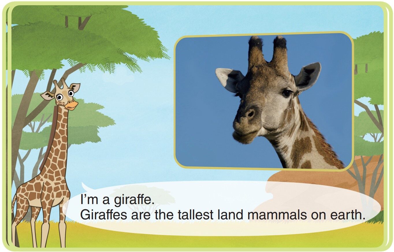 Giraffe绘本故事第3页