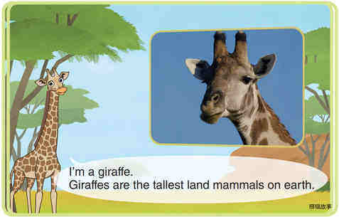 Giraffe绘本故事第3页