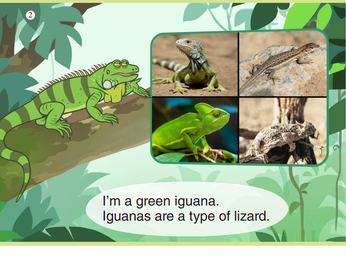 Green Iguana绘本故事第3页