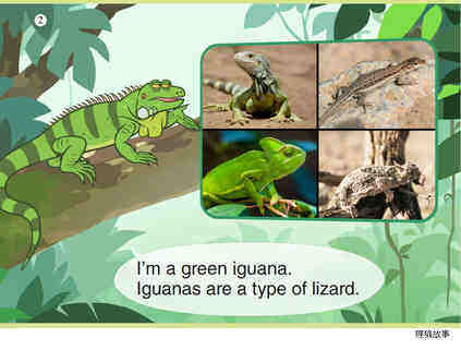Green Iguana绘本故事第3页
