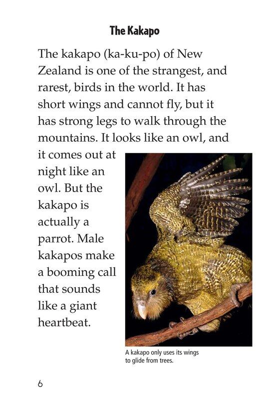 Endangered Birds绘本故事第5页