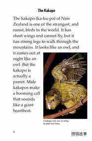 Endangered Birds绘本故事第5页