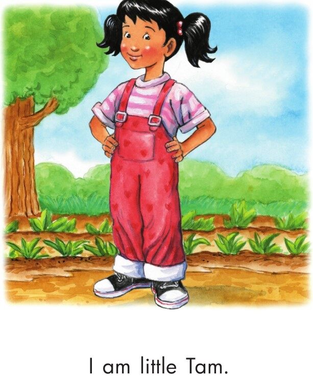 Tam in the Garden绘本故事第3页