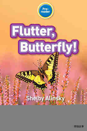 Flutter Butterfly