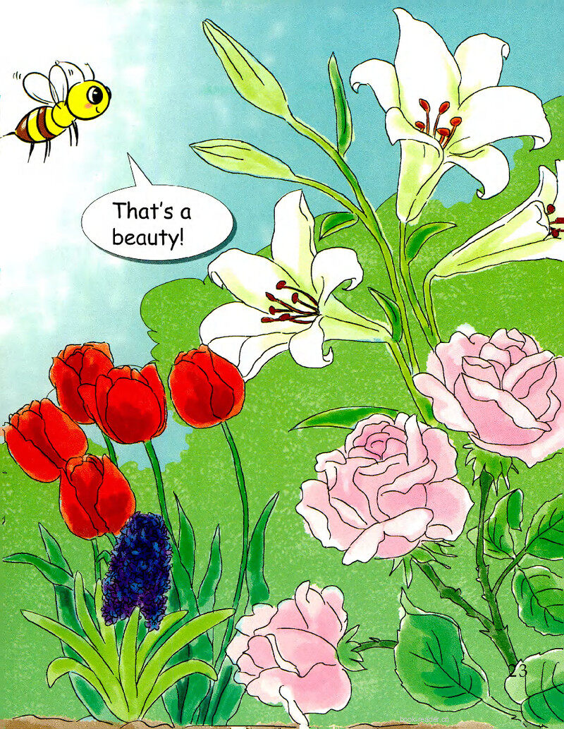  Flowers Please!绘本故事第3页