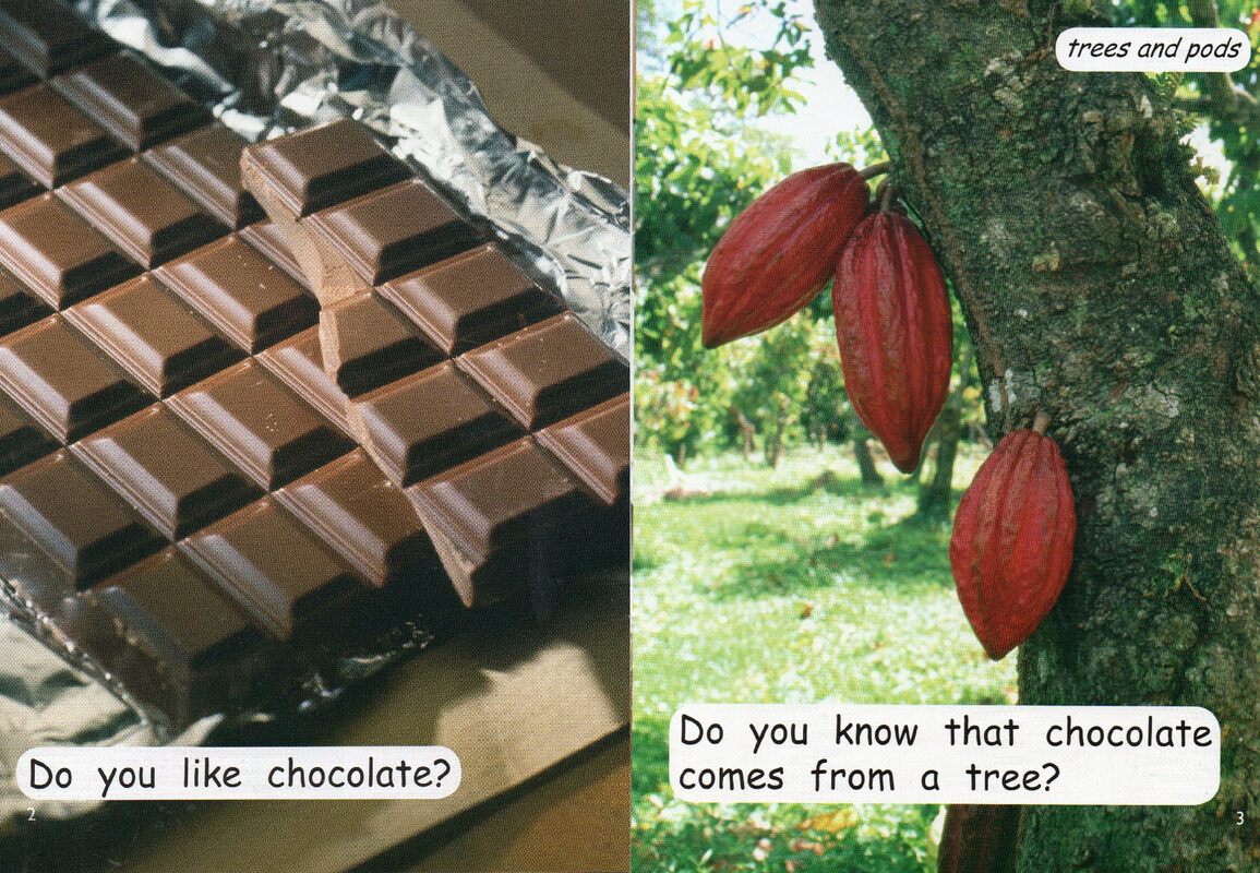 the chocolate  factory绘本故事第3页