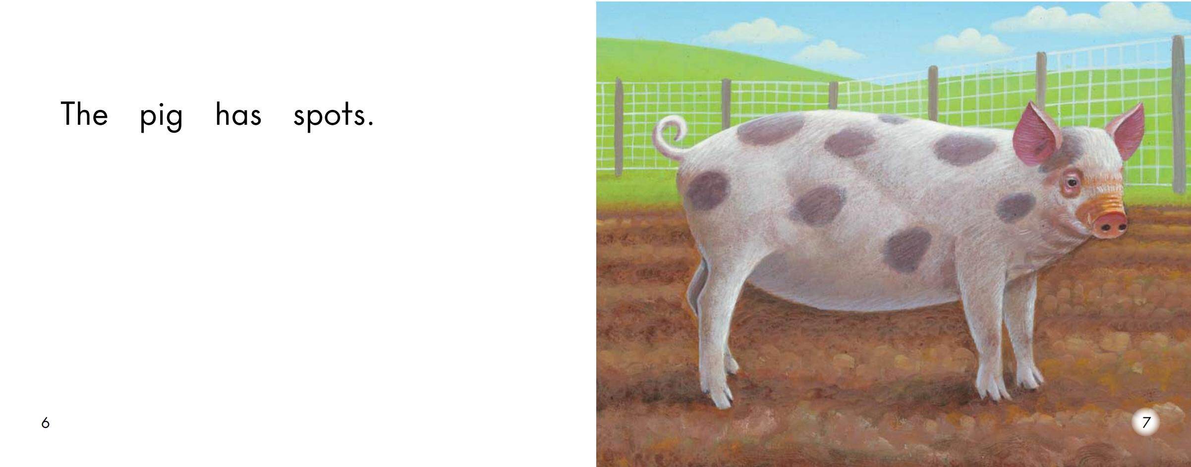 Spots绘本故事第5页