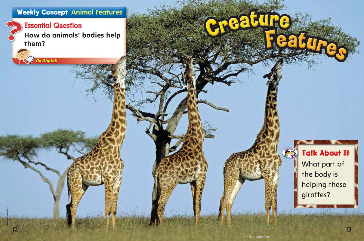 G1 Unit 4绘本故事第4页