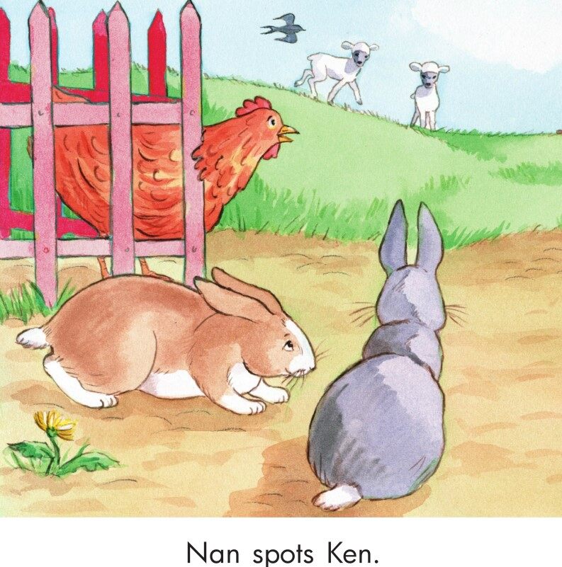 The red hen!绘本故事第5页