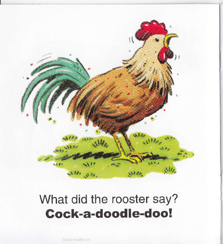 The Noisy Farm绘本故事第5页