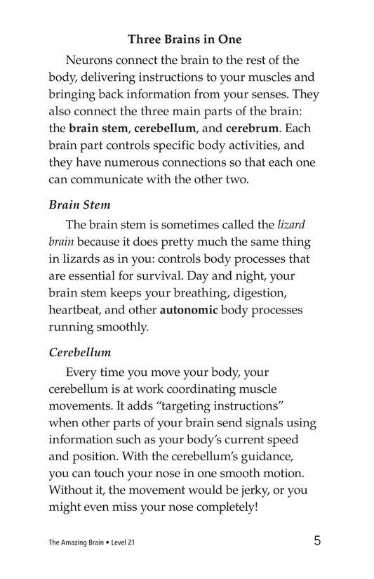 The Amazing Brain绘本故事第4页