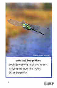 Dragonflies!绘本故事第3页