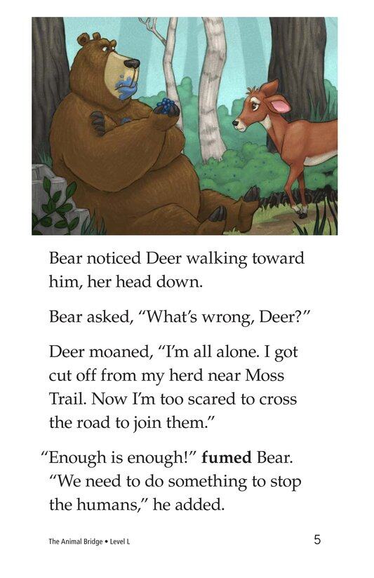 The Animal Bridge绘本故事第5页