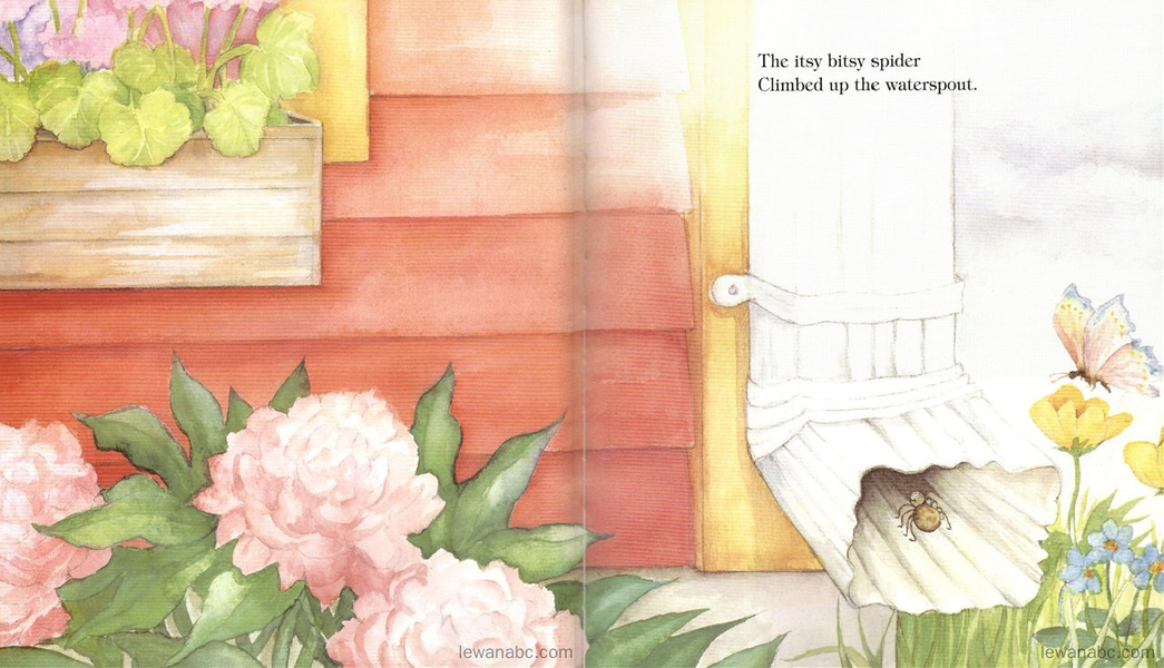 (34周)The Itsy Bitsy Spider绘本故事第4页