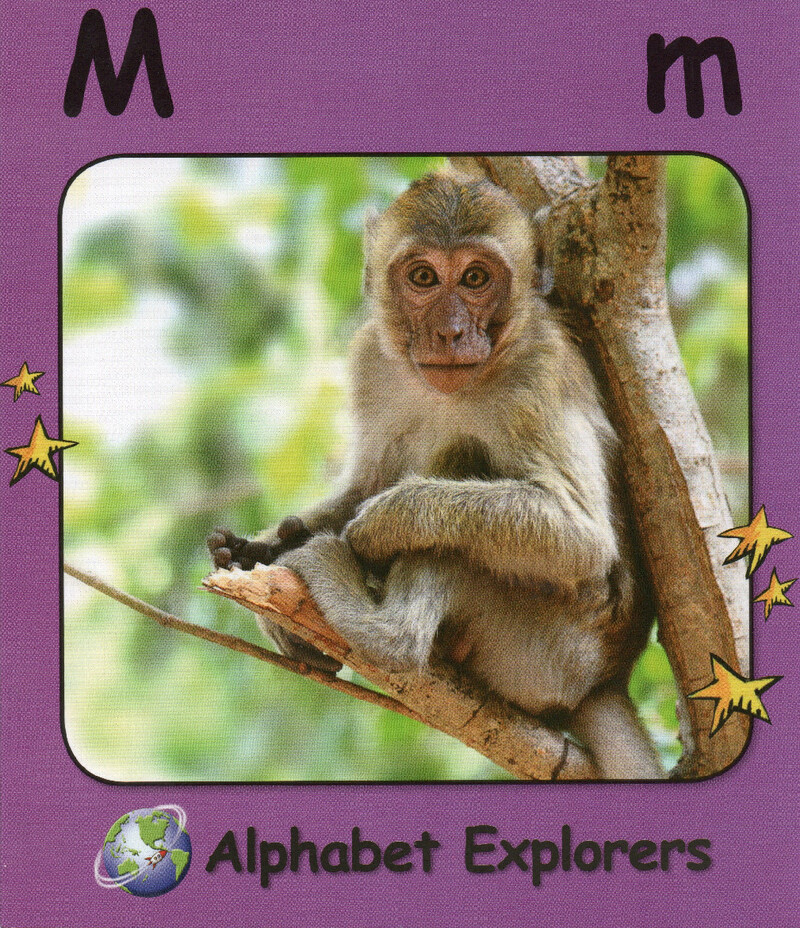 M绘本故事第2页