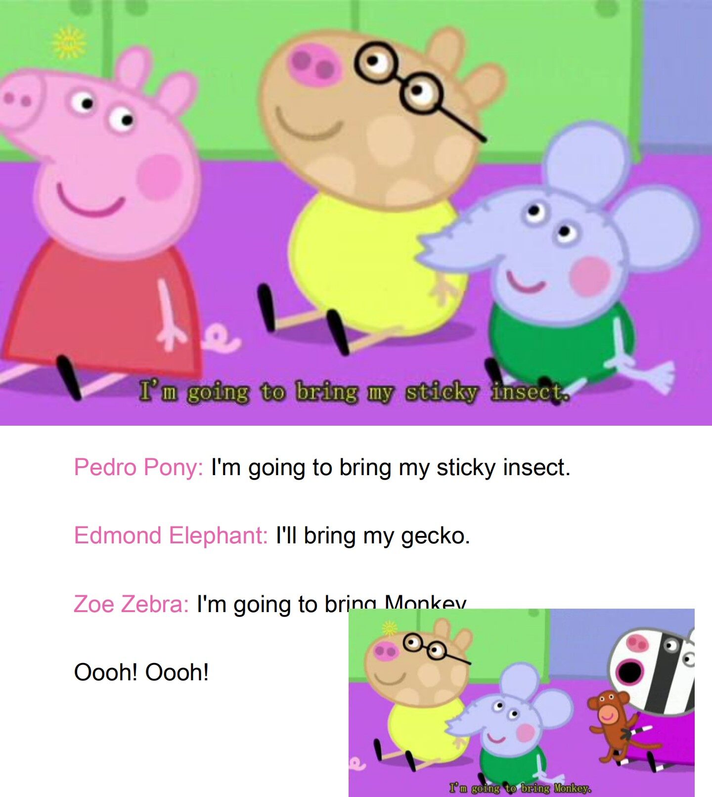 The Pet Competition绘本故事第5页