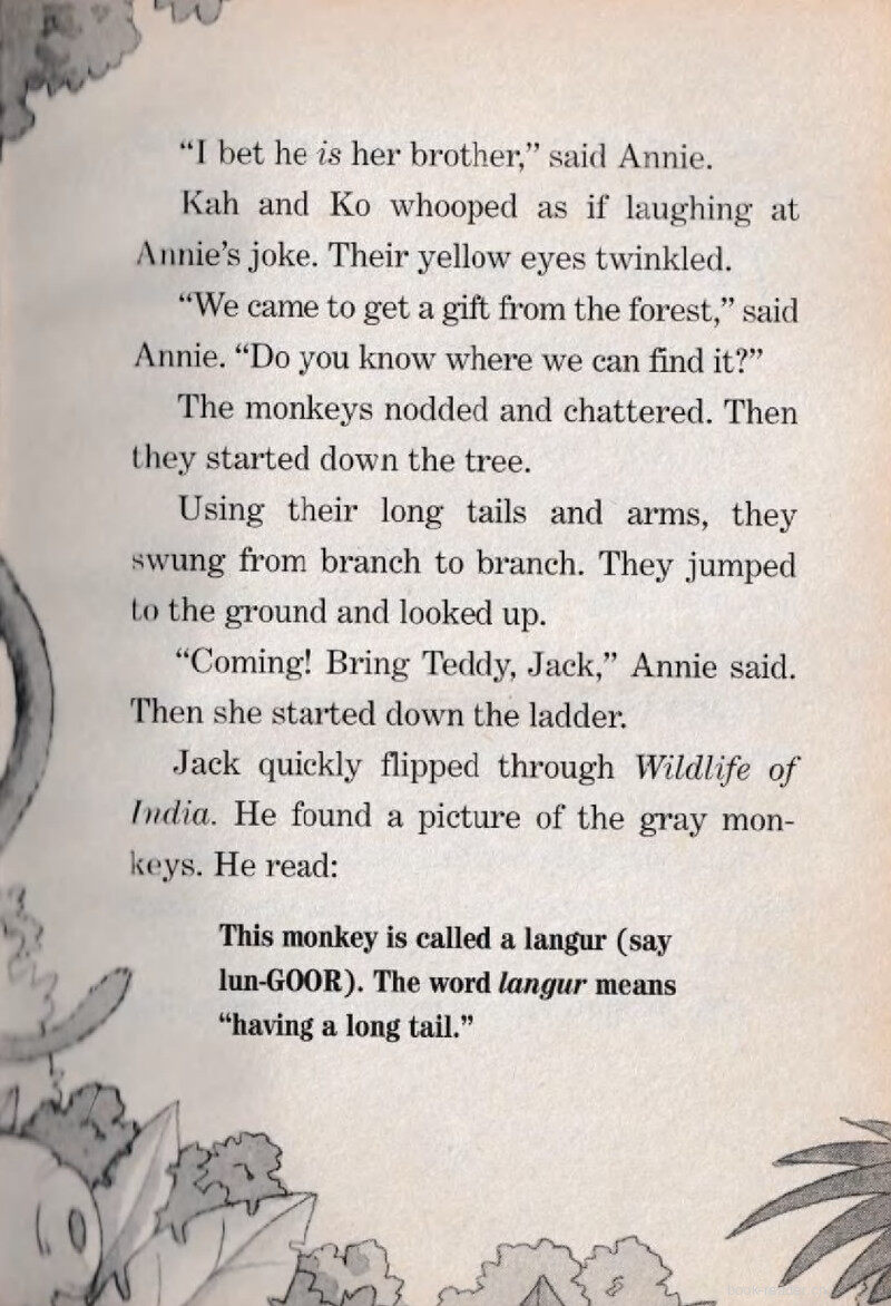 02 Kah and Ko绘本故事第5页