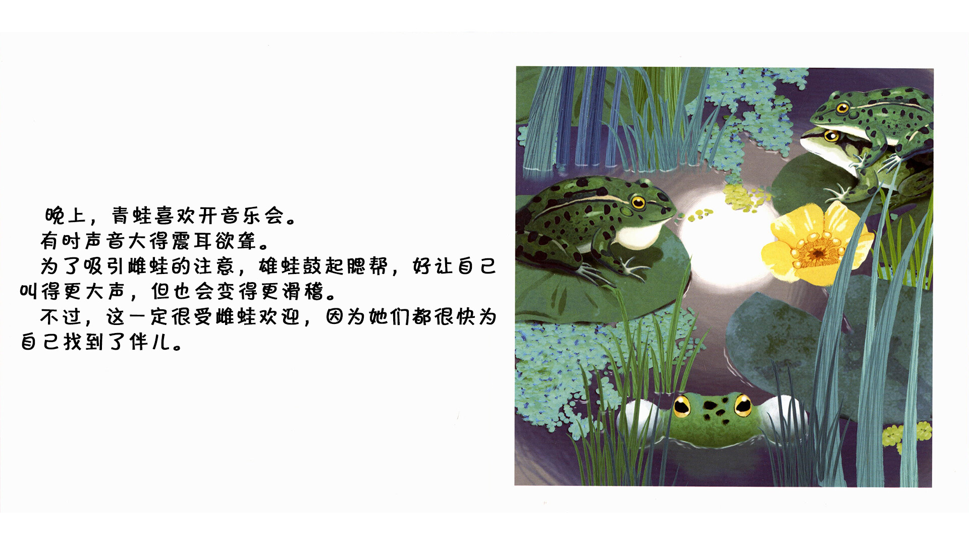 青蛙  绘本故事第5页