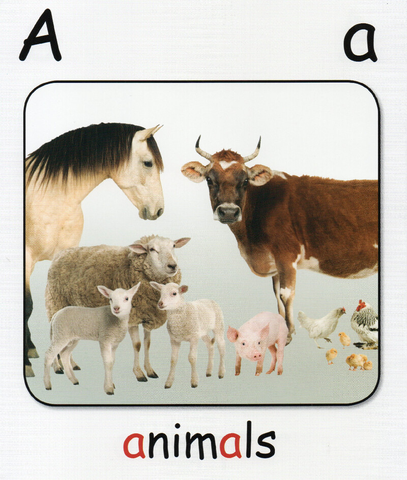 A绘本故事第4页