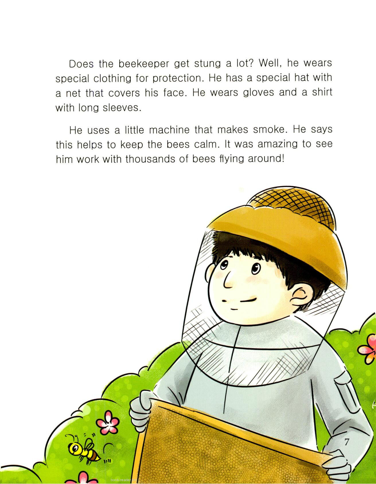 Honey Bees绘本故事第3页