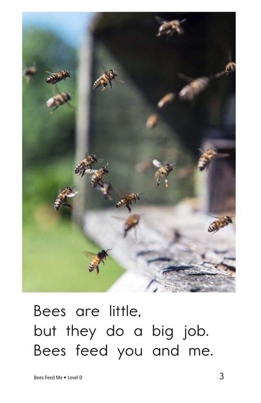 Bees Feed Me绘本故事第3页