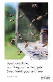 Bees Feed Me绘本故事第3页