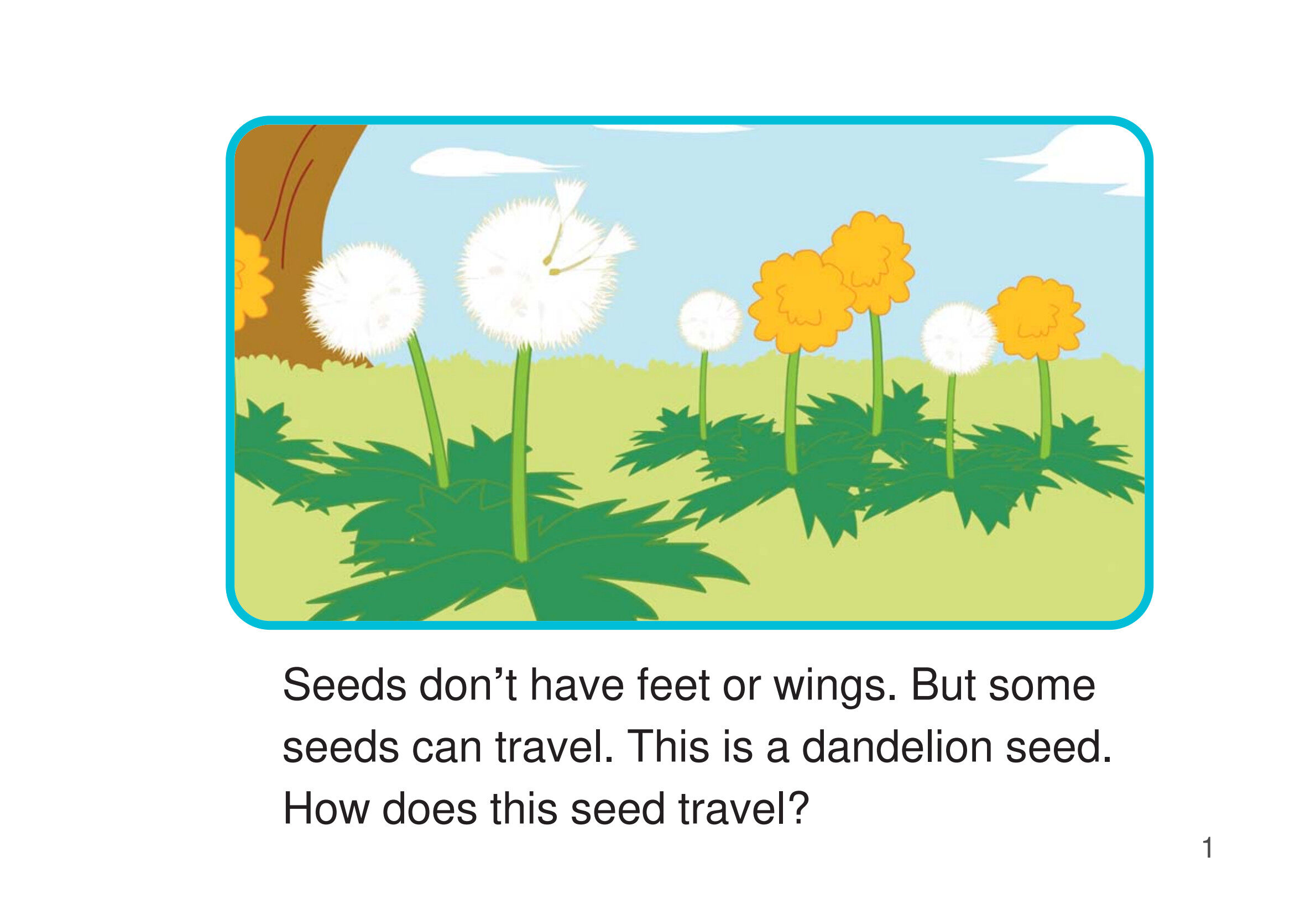 How Do Seeds Travel绘本故事第3页