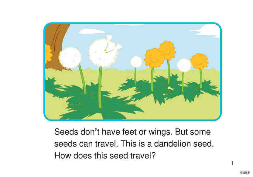 How Do Seeds Travel绘本故事第3页