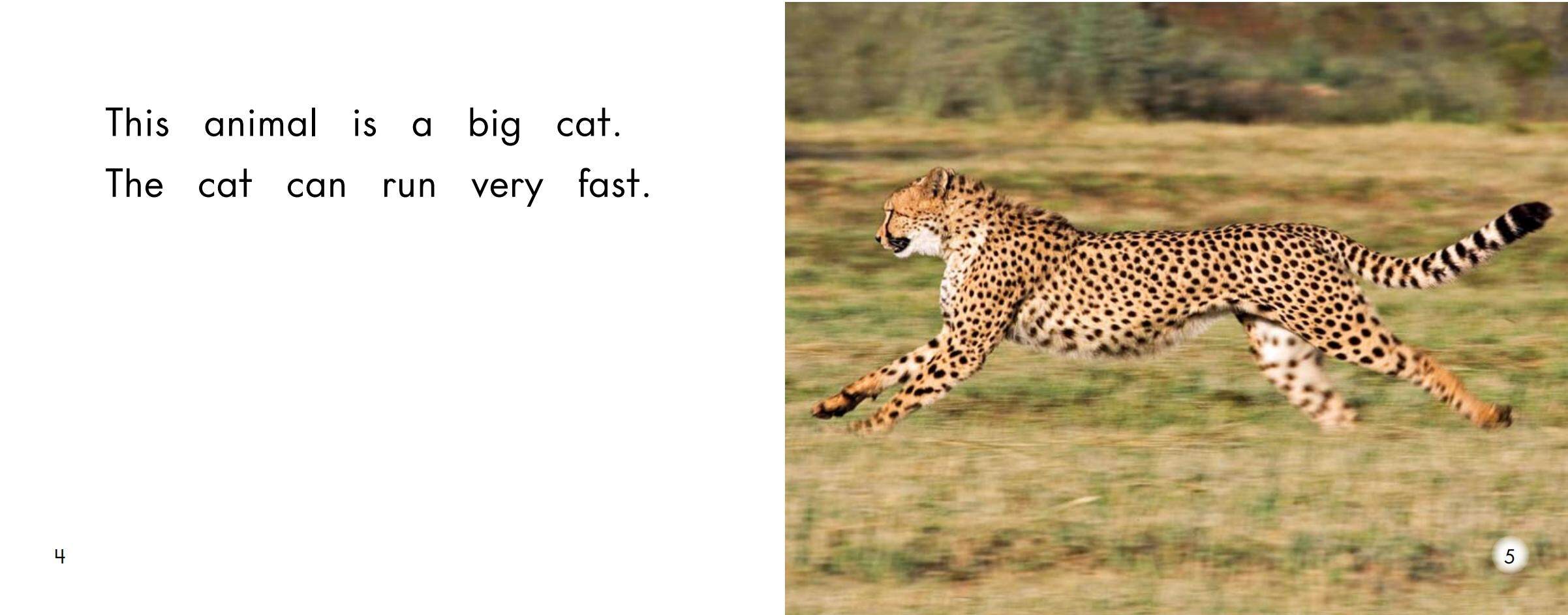 Animals that go fast绘本故事第4页