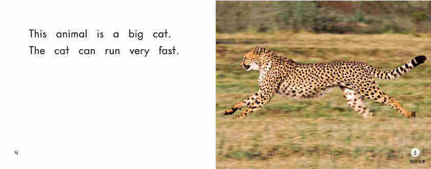 Animals that go fast绘本故事第4页